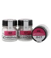 CREATION ZI-CT / Gum