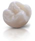Voxelprint-FGM Dental Group