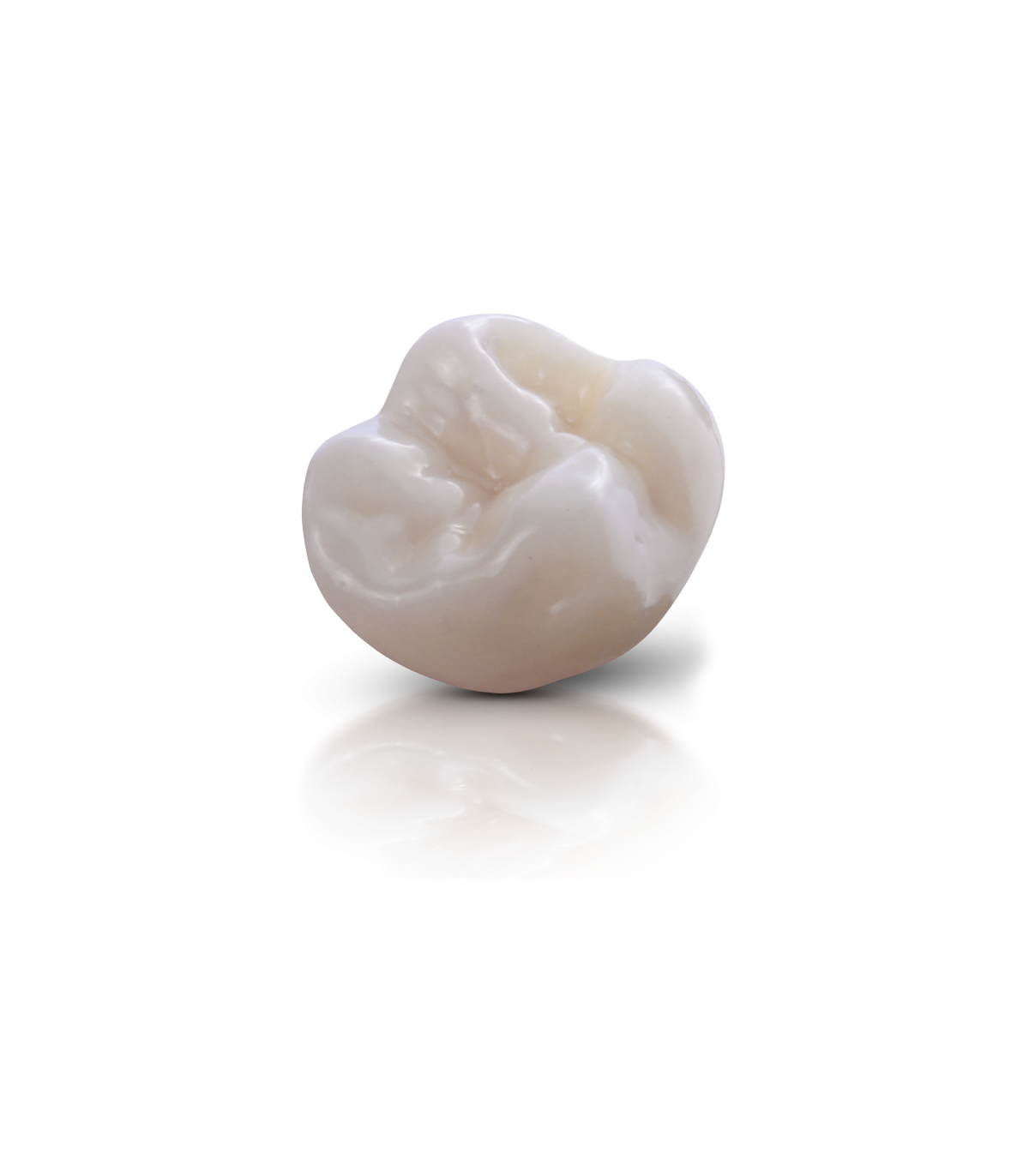 Voxelprint-FGM Dental Group
