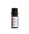 New Outline Liquido Skin Primer